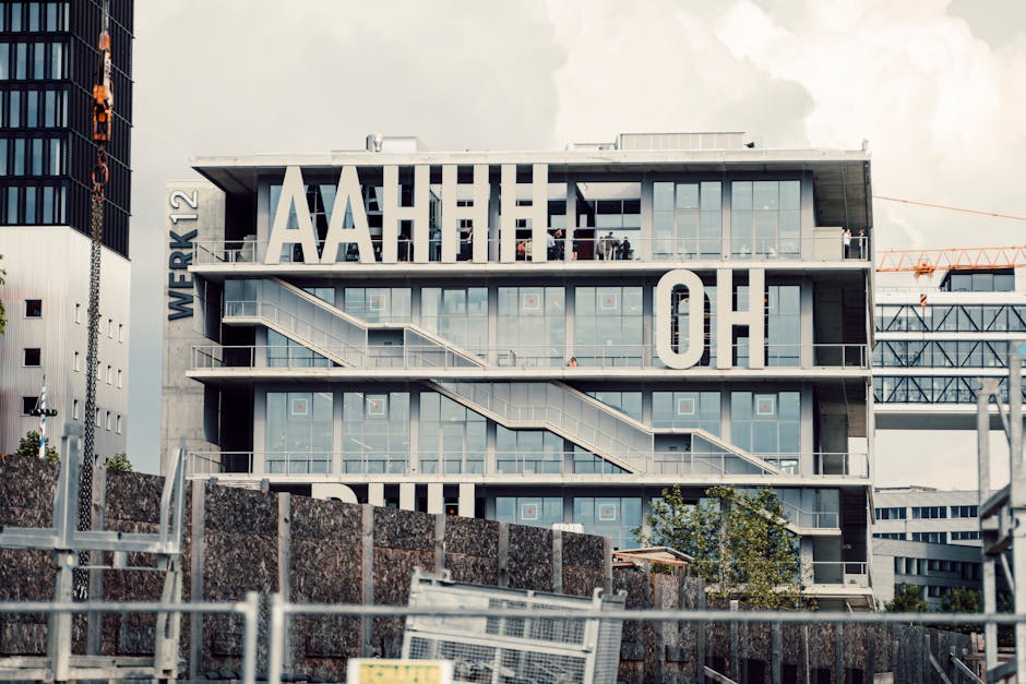 Курсы программирования и дизайна